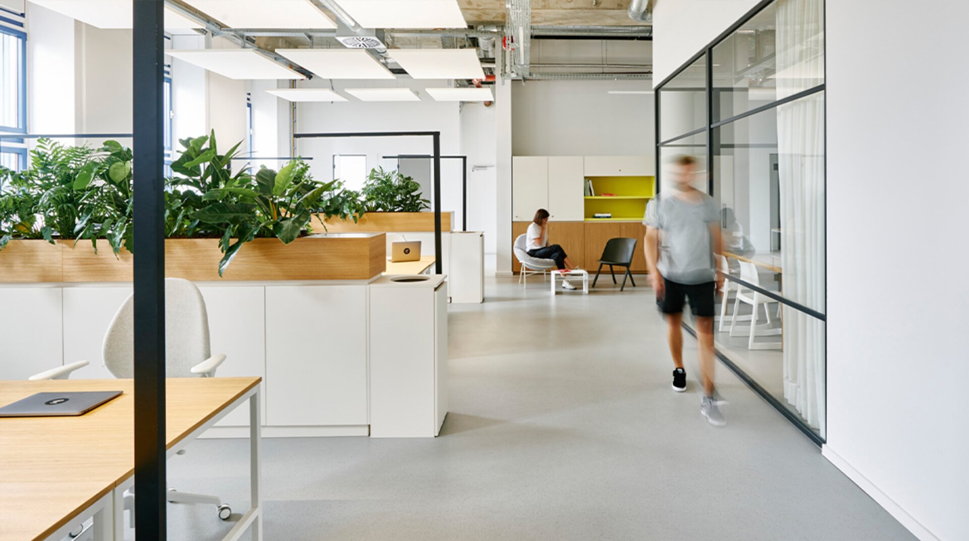Loft-Office Neue Hopfenpost, Büro, Pflanzen