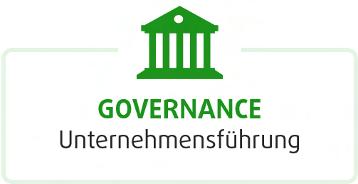 Governance, Unternehmensführung