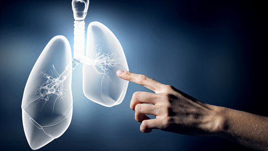 digitale Abbildung menschliche Lunge